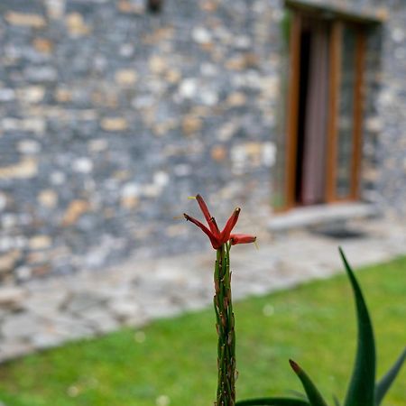 Villa Collina E Mare Camogli Exterior foto