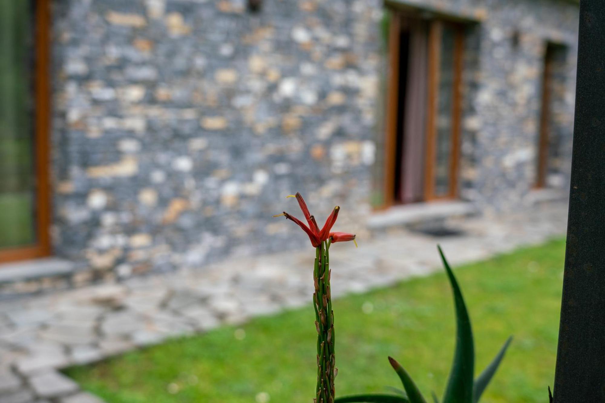 Villa Collina E Mare Camogli Exterior foto